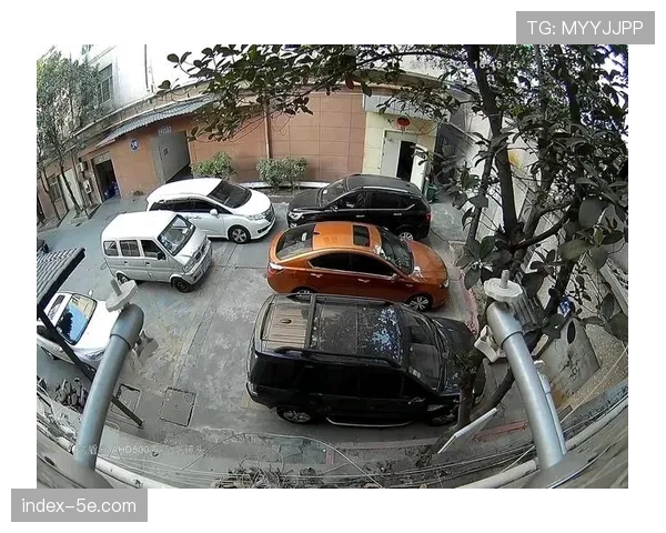 全景摄像头捕捉完整画面 提供沉浸式视角