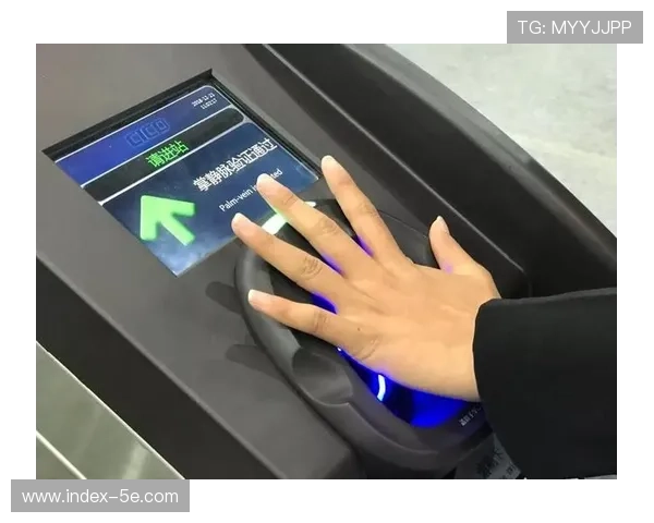 生物识别技术在检票环节的无缝嵌入 使得万人入场时长缩短至分钟级